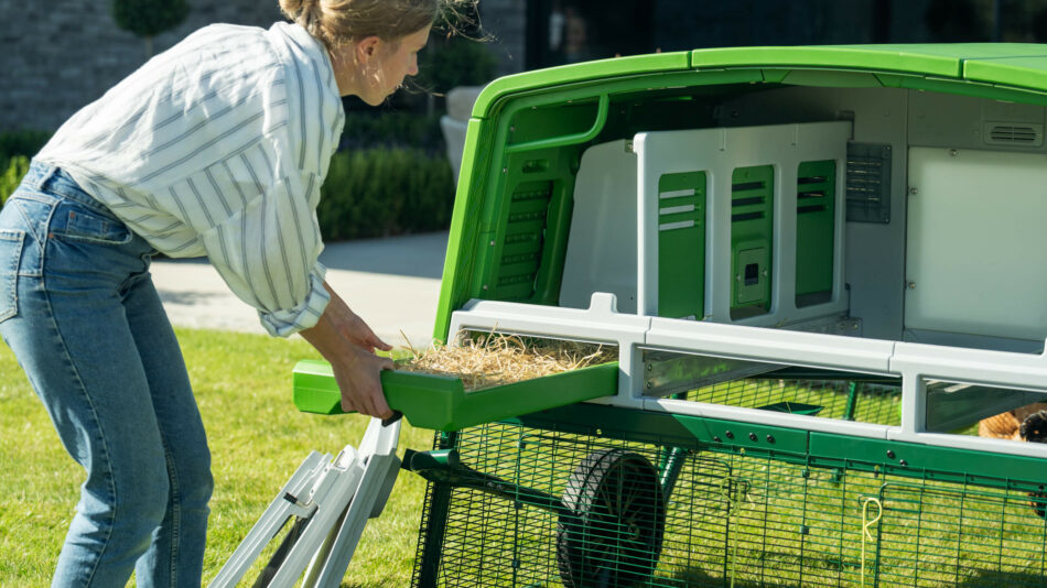 vrouw die de uitwerpselenbak van de Eglu Pro eruit trekt