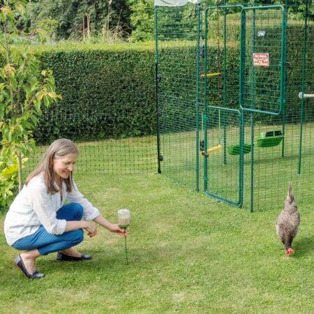 kippenhouder voert haar kippen met een Peck Toy en heeft interactie met haar kippen buiten de Inloopren voor kippen