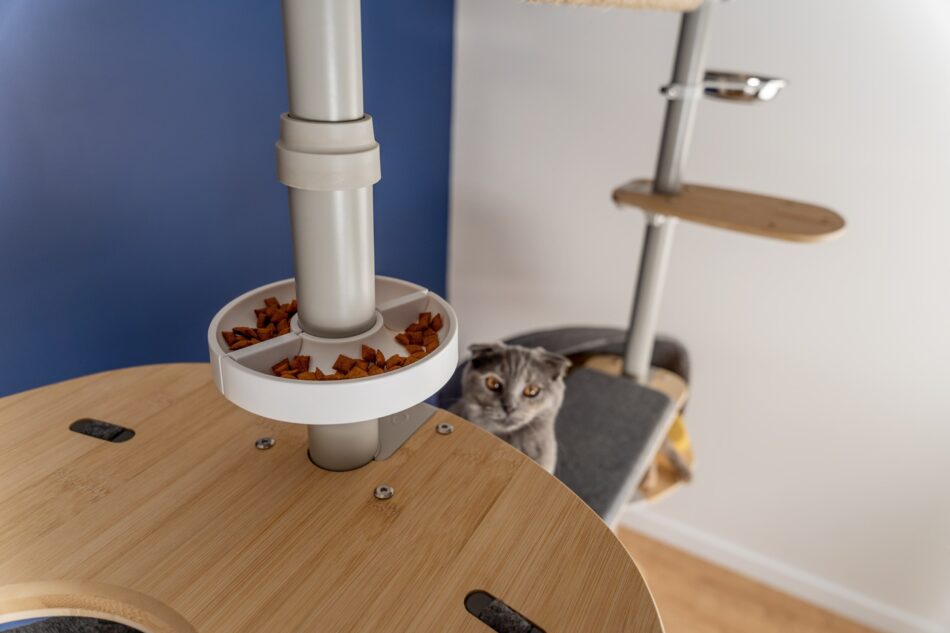 Kat kijkt naar eten in de Freestyle Klimboom van Omlet 