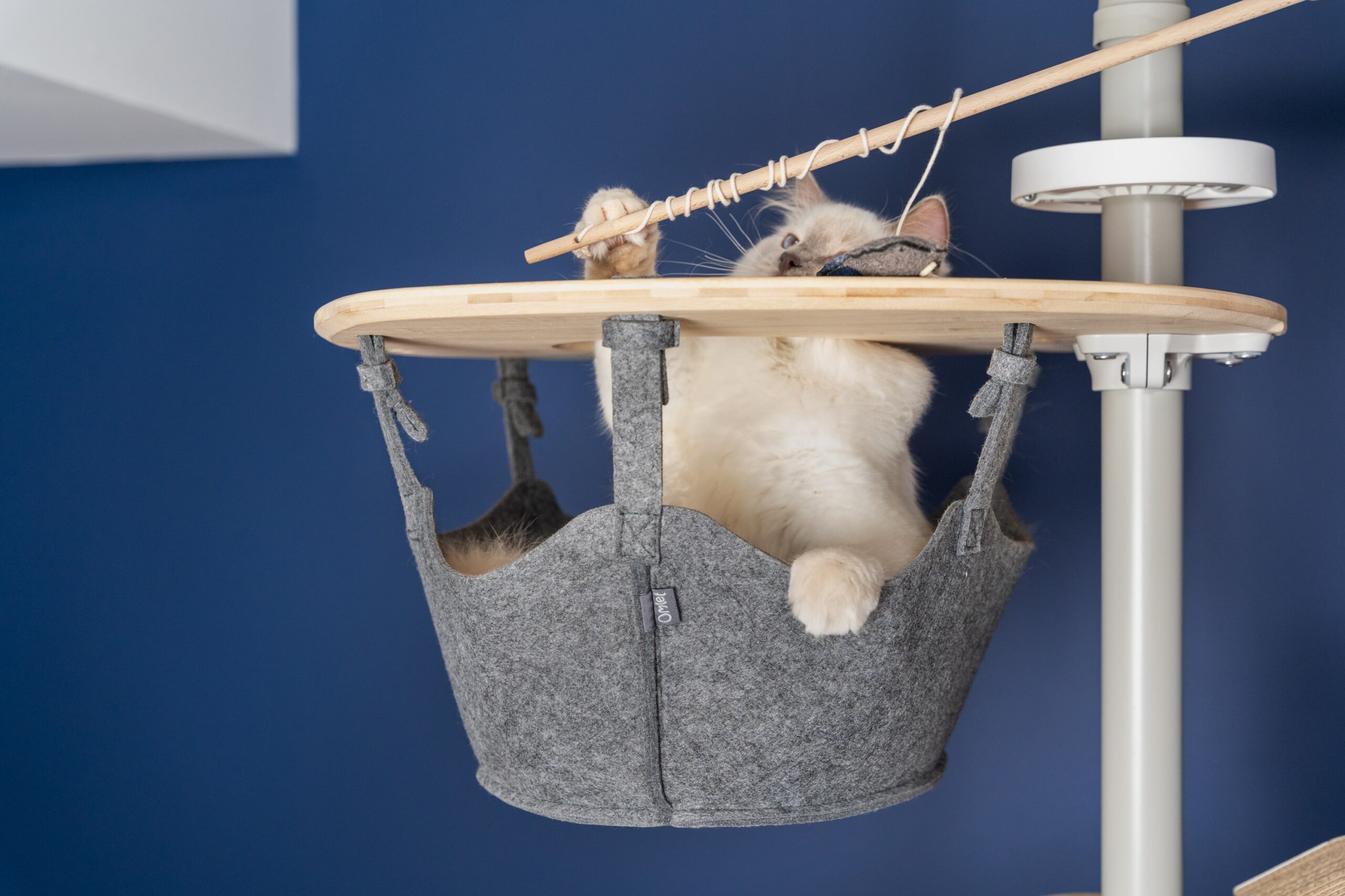 Witte kat zittend in Freestyle klimboom spelend met Omlet catnipspeeltjes