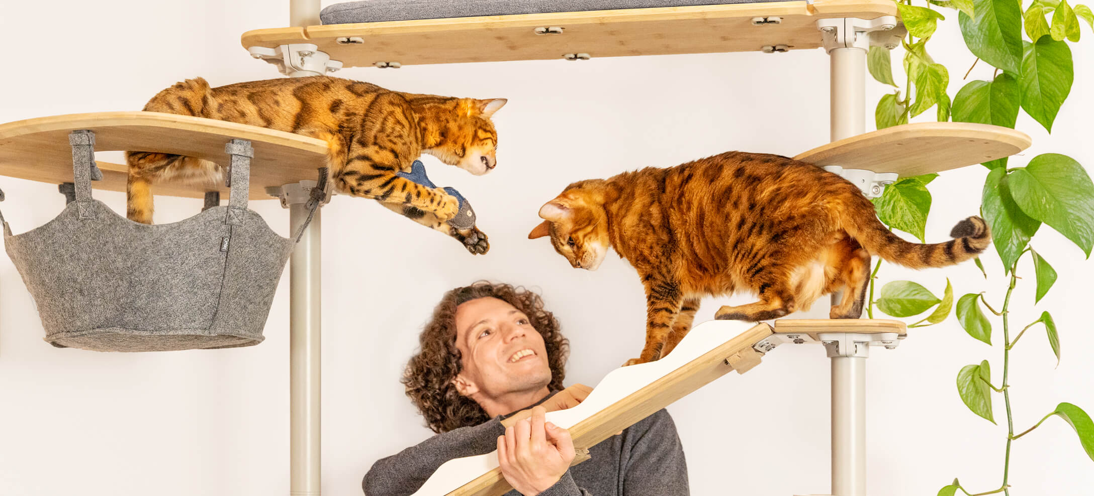 Man met twee katten op Omlet Indoor Freestyle klimboom voor katten