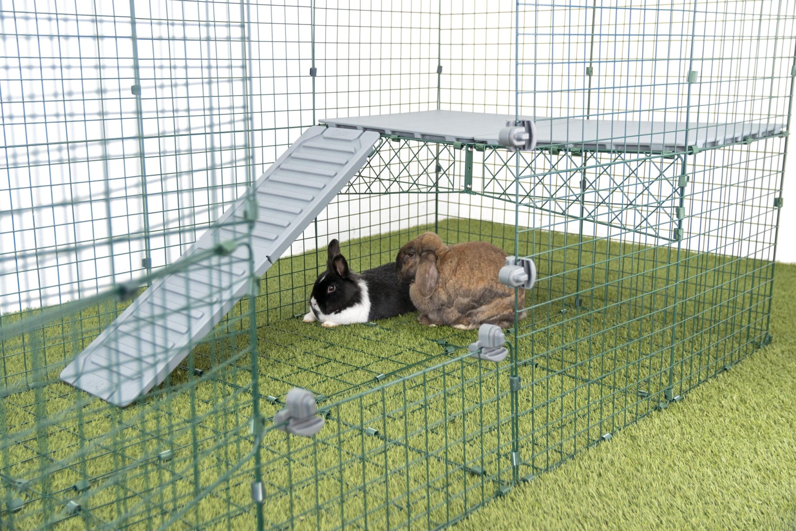 Twee konijnen spelen onder Omlet Zippi vide in konijnenren