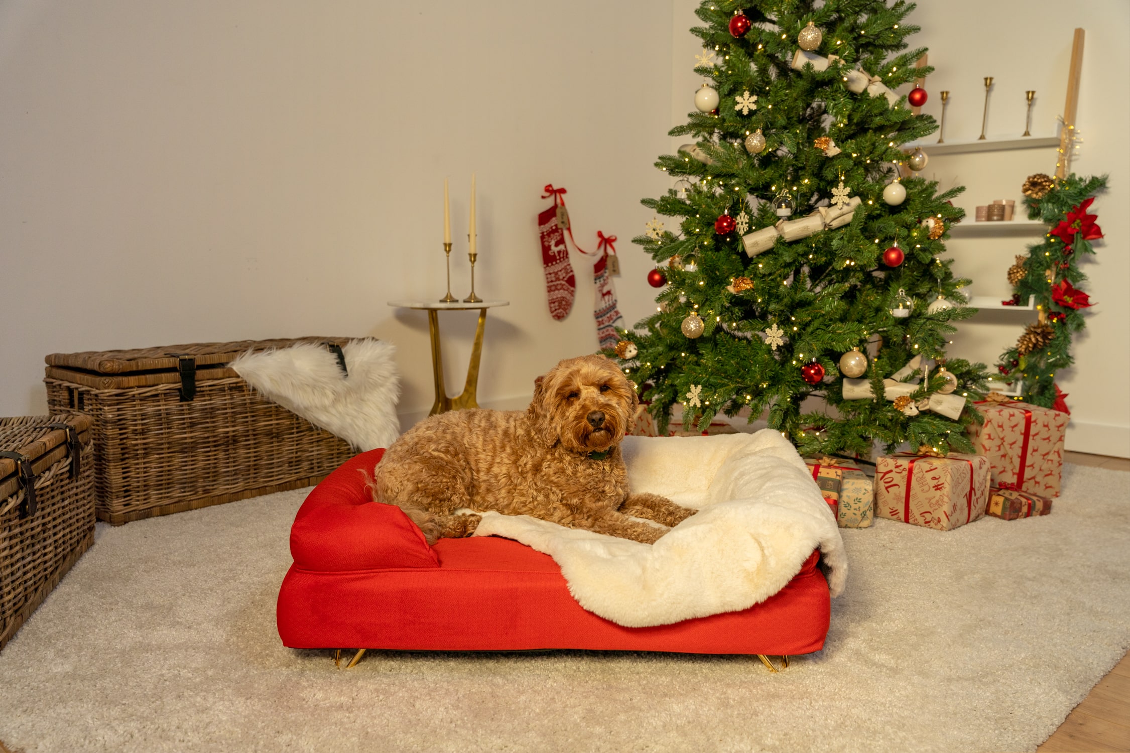 Dog lying on Omlet Bolster Dog Bed in Cherry Red by Christmas tree
