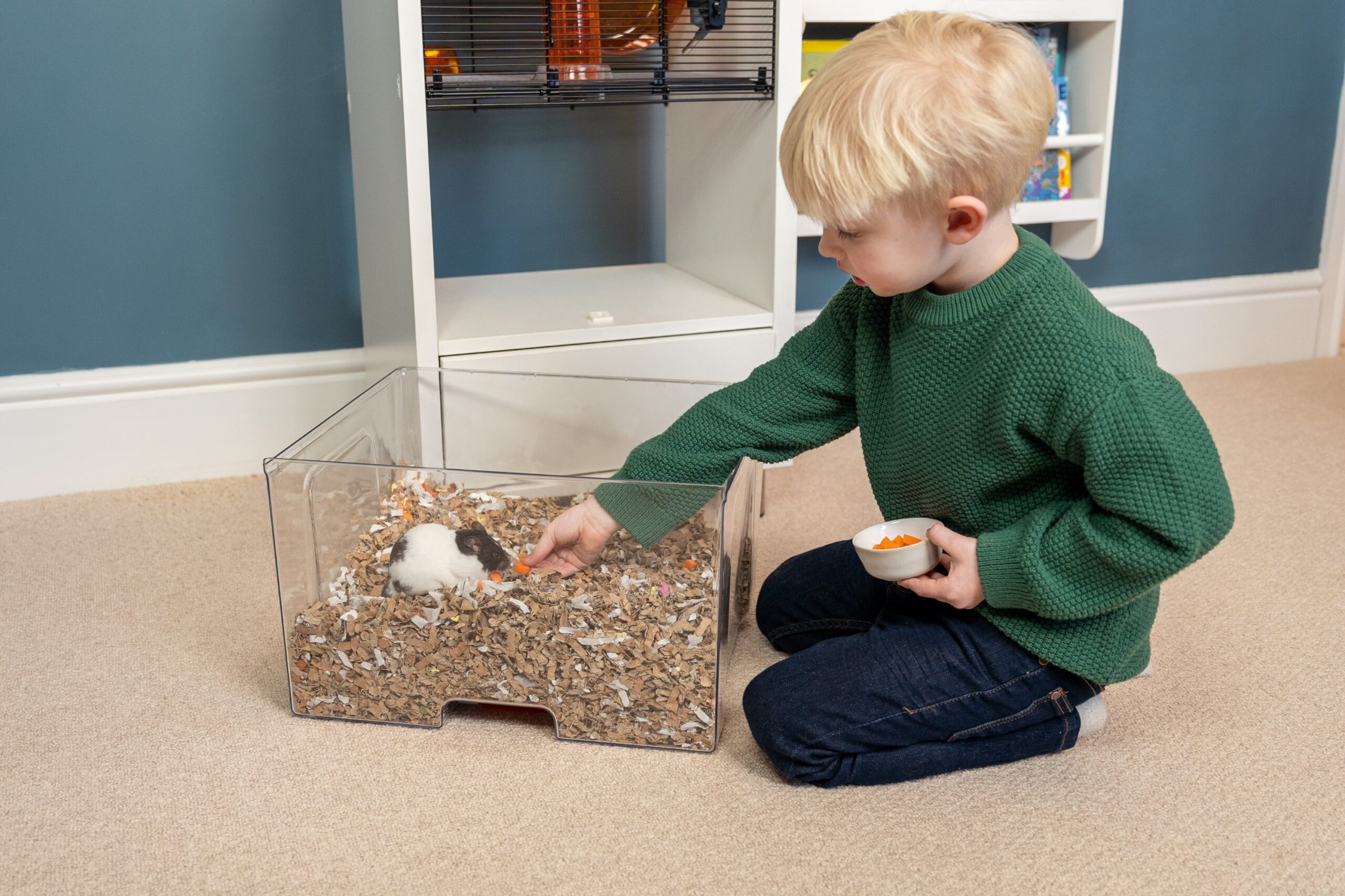 Jongen speelt met hamster met Omlet Qute hamsterkooi op de achtergrond