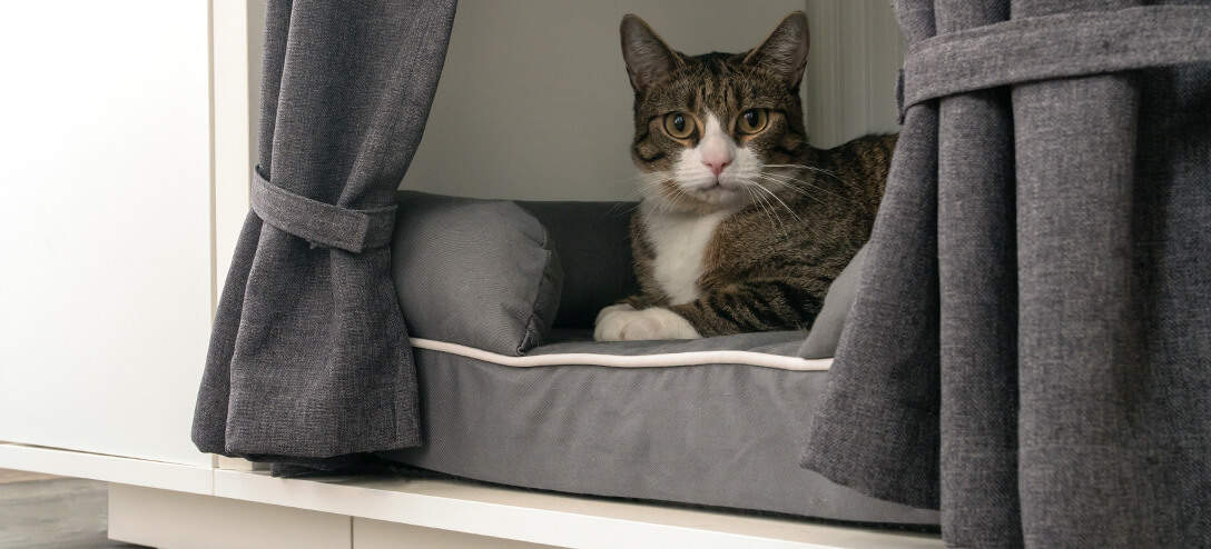 Kat rustend op mand in een luxe Maya Nook kattenmeubel met garderobekastje