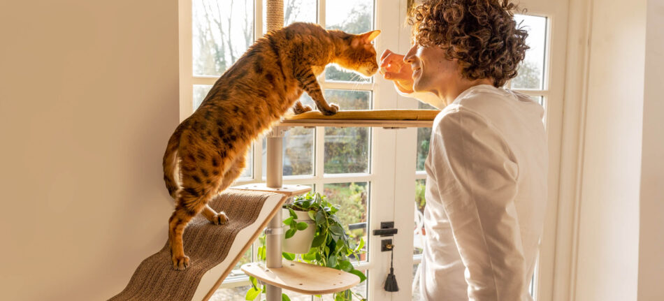 grillen via draagbaar 15 aanwijzingen dat uw kat van u houdt - Omlet Blog NL