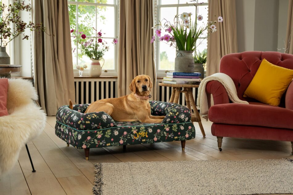 Labrador in woonkamer op Bolsterbed voor honden in de print Midnight Meadow  