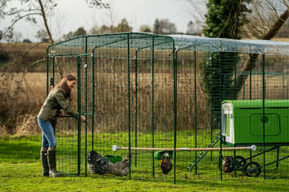 Kippenhouder kijkt naar haar kippen in de inloopren van Omlet