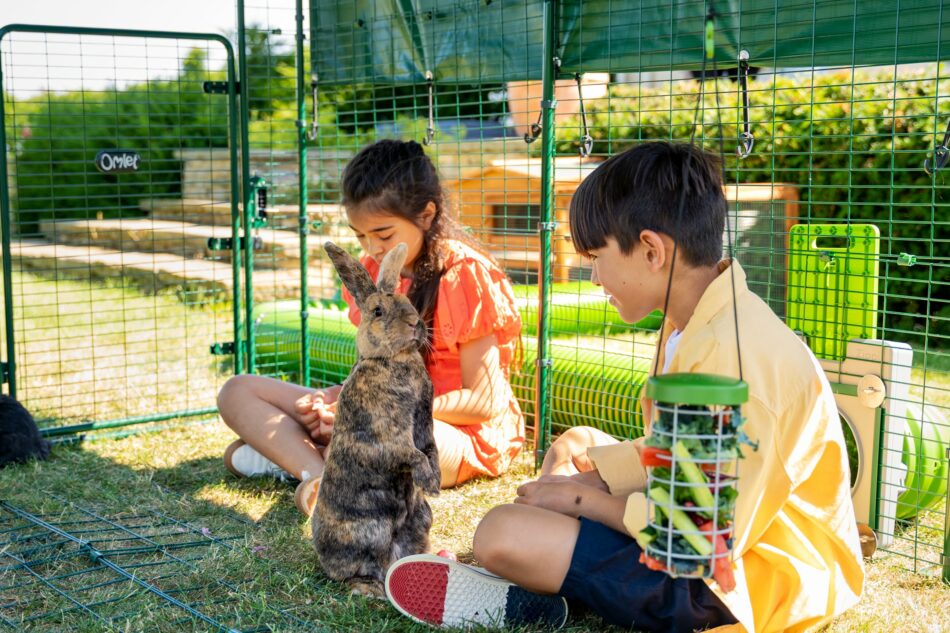 Twee kinderen buiten met hun konijn in de buitenren van Omlet 