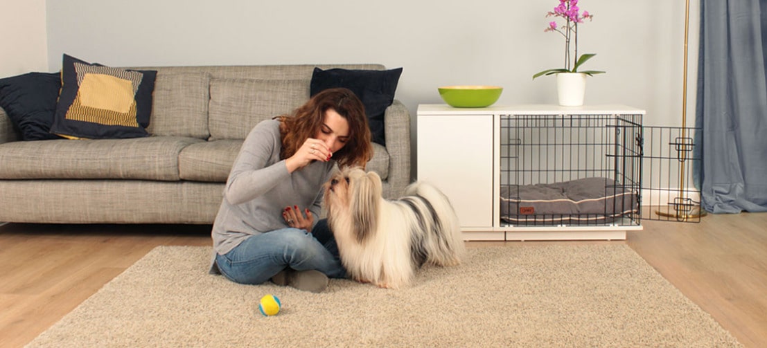 Vrouw leert haar hond een trucje naast een Omlet Fido Studio hondenbench