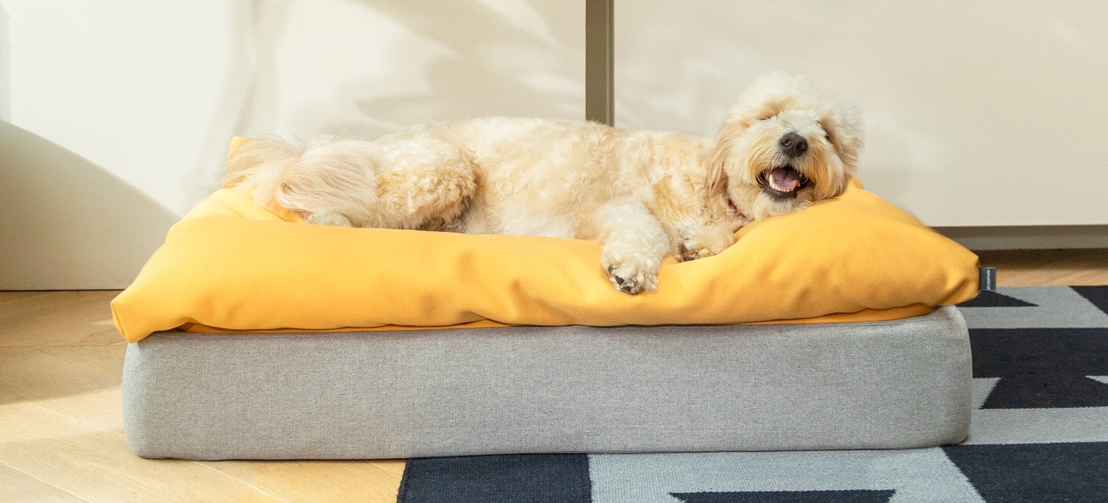 hond liggend op gele beanbag topper op Omlet Topology hondenmand