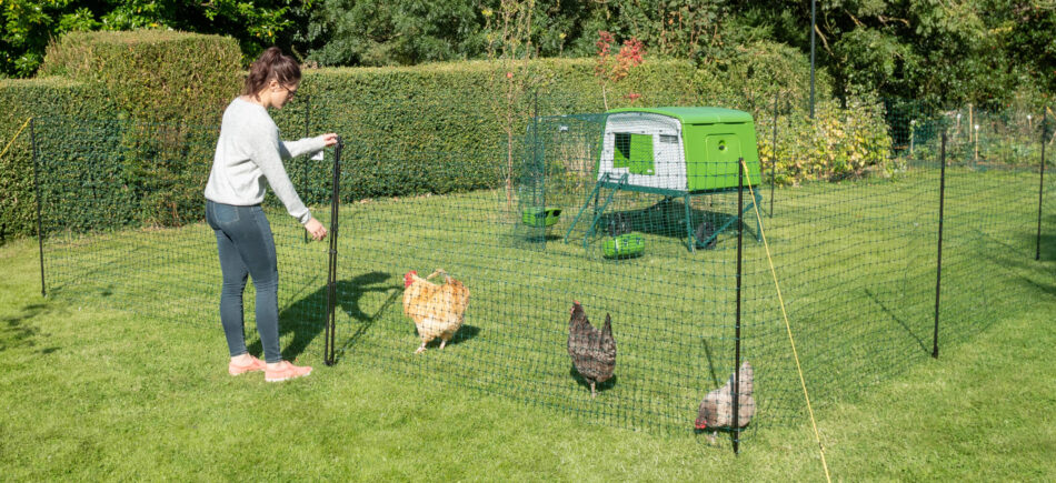 Kippenhouder verzorgt de kippen met de afrastering voor kippen en het Eglu Cube kippenhok van Omlet  