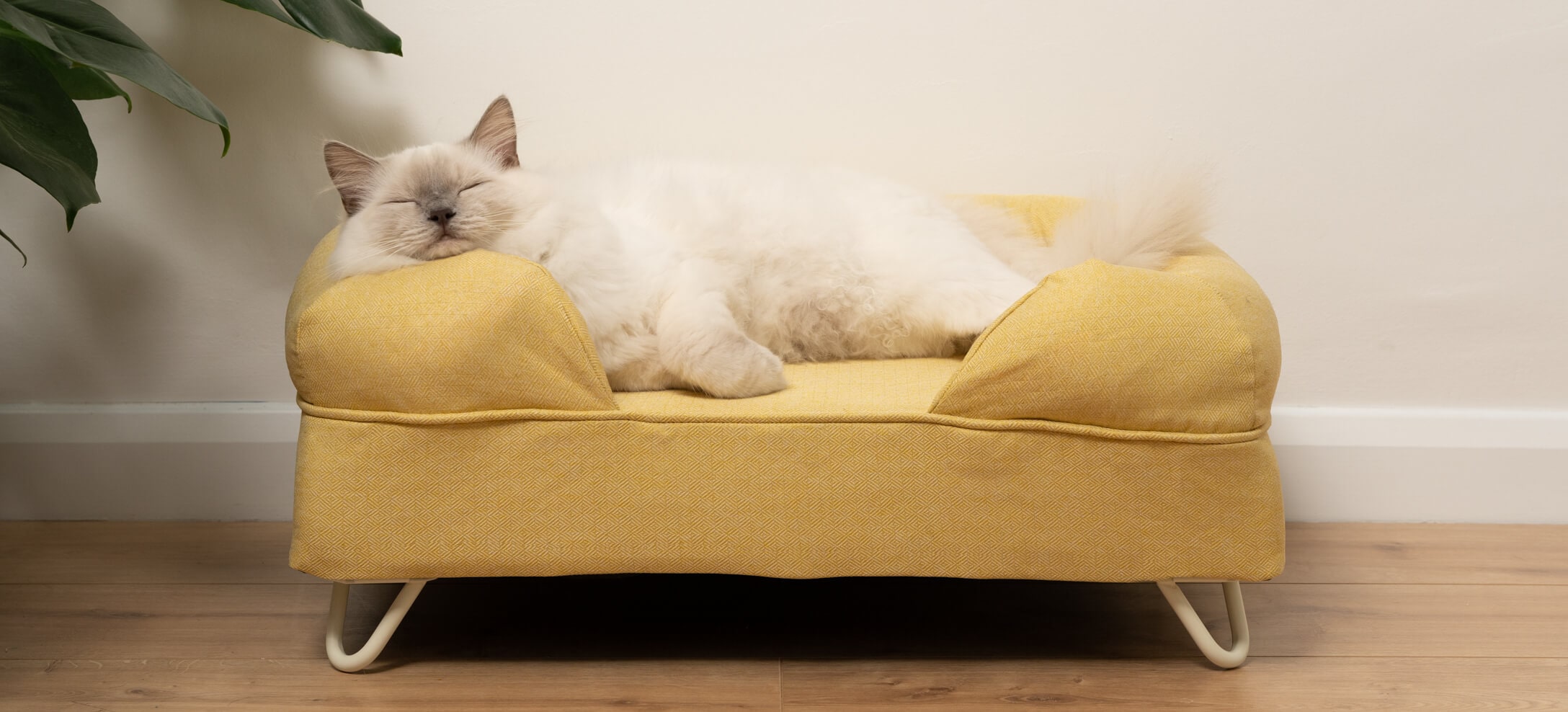 Ragdoll ligt te slapen op gele Bolstermand voor katten