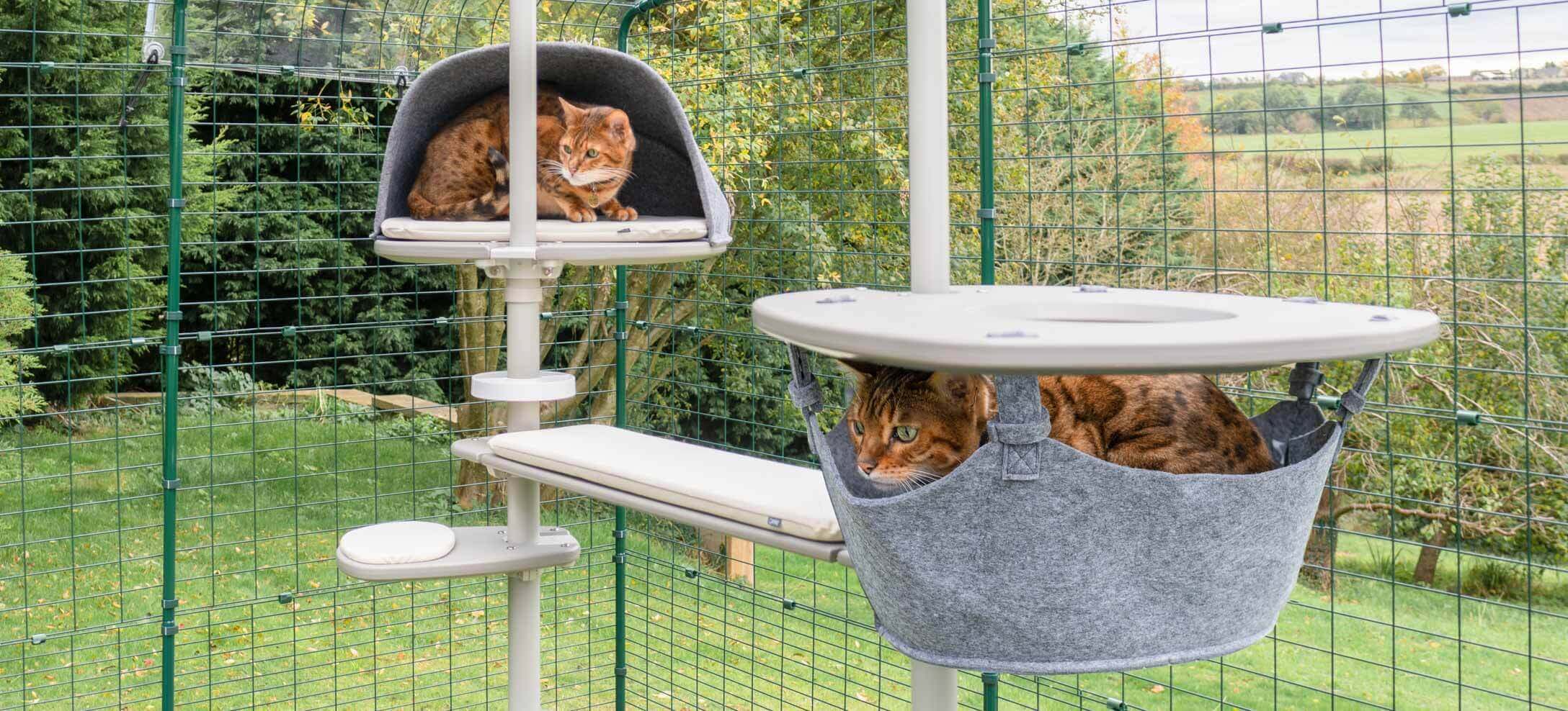 Twee katten relaxen in de hangmat van de outdoor Freestyle klimboom van Omlet. 