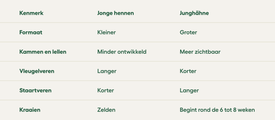 kenmerken jonge hennen vs. haantjes
