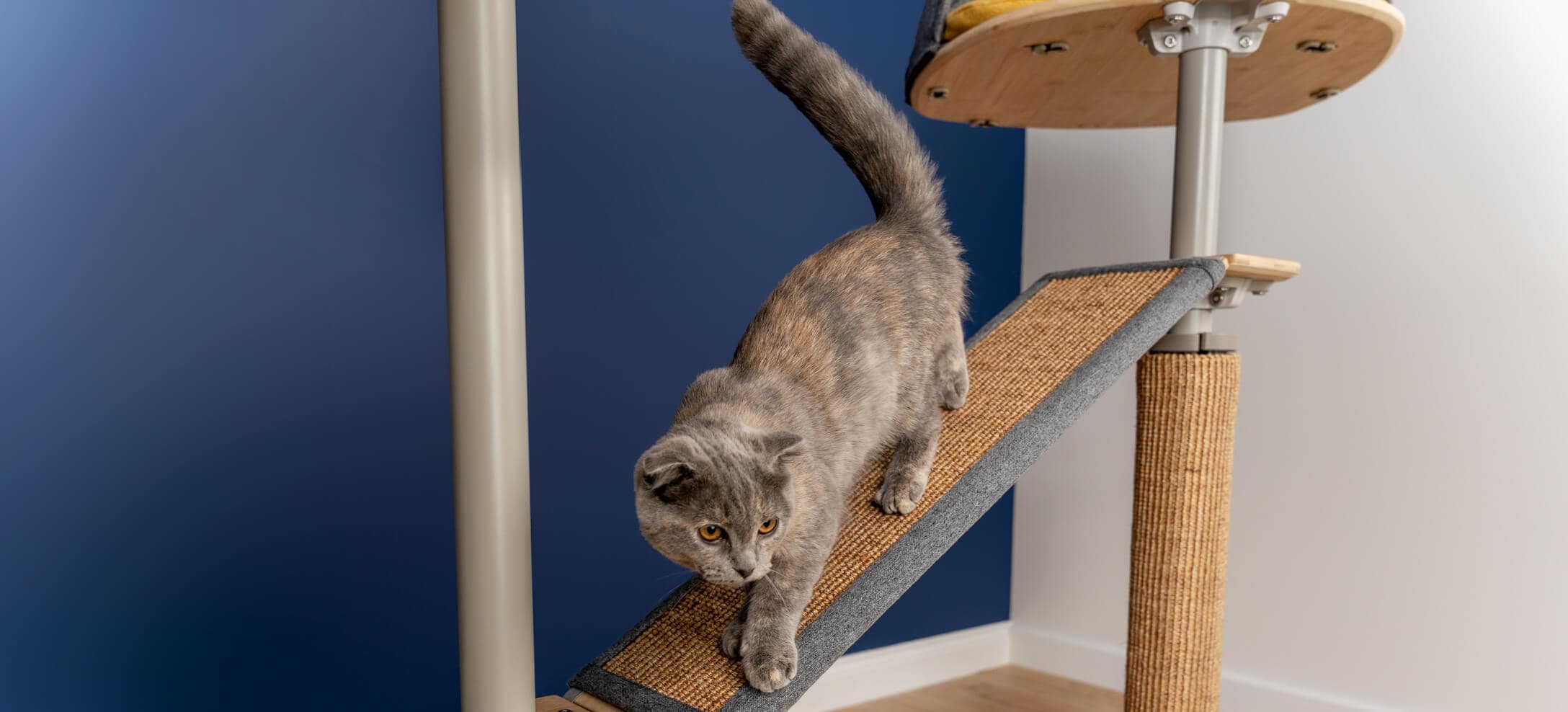 Grijze kat gebruikt de brug van de Indoor Freestyle klimboom van Omlet 