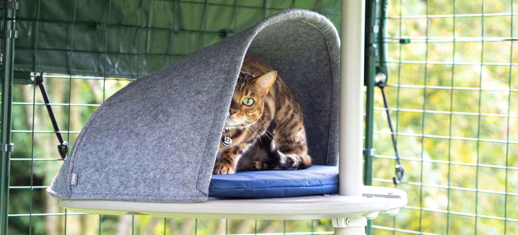 Kat in het holletje van de Outdoor Freestyle klimboom van Omlet 