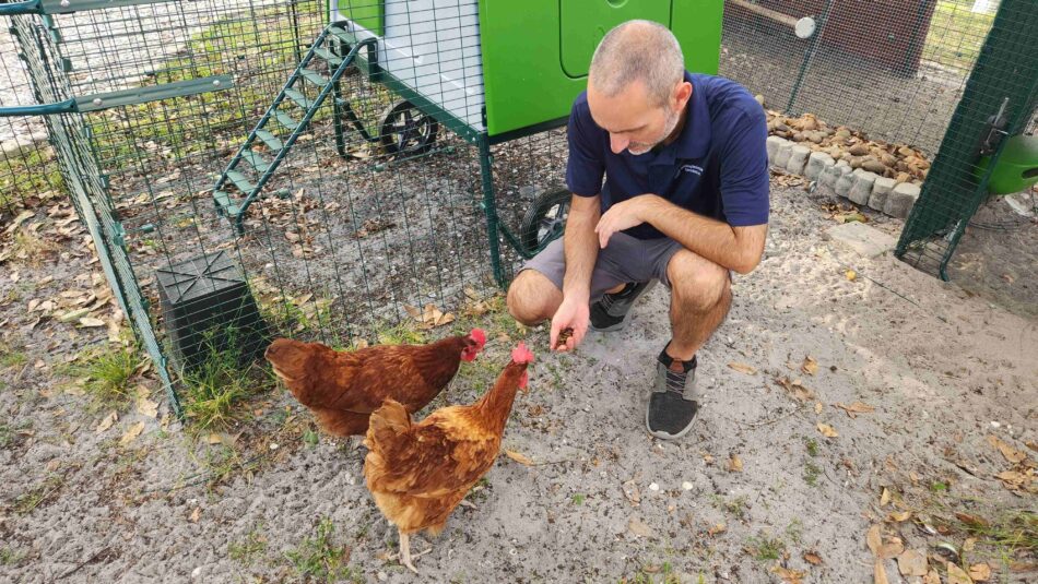 Jeremy Gary die zijn kippen voert naast het Omlet Eglu Cube-kippenhok