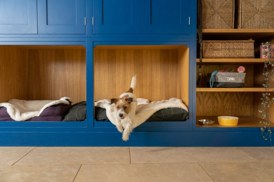 Jackrussellterriër springt uit een mand met de Omlet luxe hondendeken van kunstschapenvacht