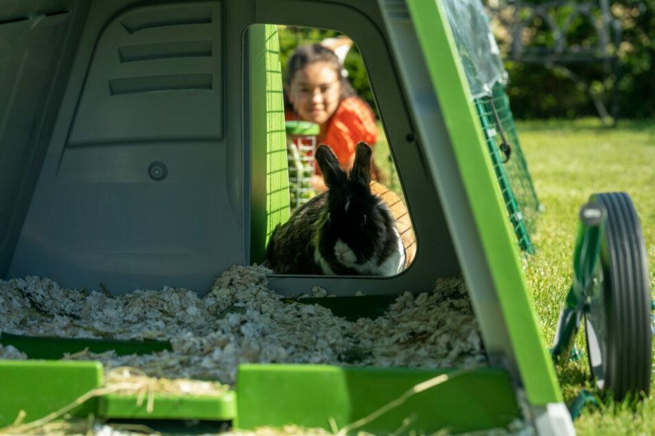 Meisje kijkt naar een konijn in het Omlet Eglu Go konijnenhok