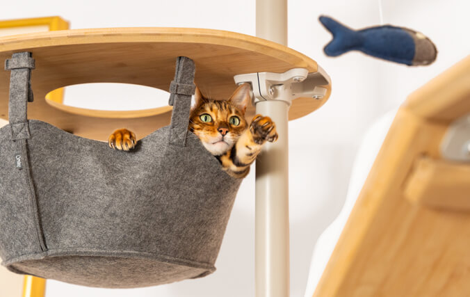 Kat speelt met een kattenspeeltje in de Freestyle hangmat 