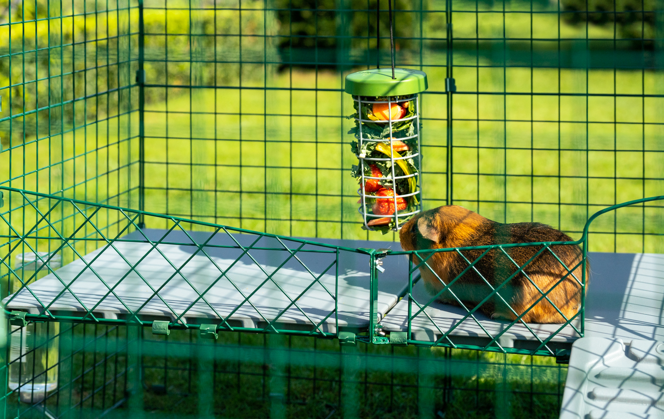 NEO SOLVO Slaapmat, Kooivoering voor konijnen en cavia's - 70 x 105cm (2x3) met verwijderbare tunneldeken van fleece - Perfect beddengoed voor kooien en C&C - Absorberend waterdicht - Wasbaar - Perzik