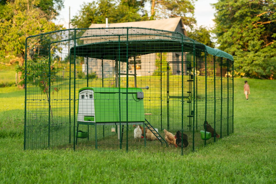 eglu cube in een inloopren