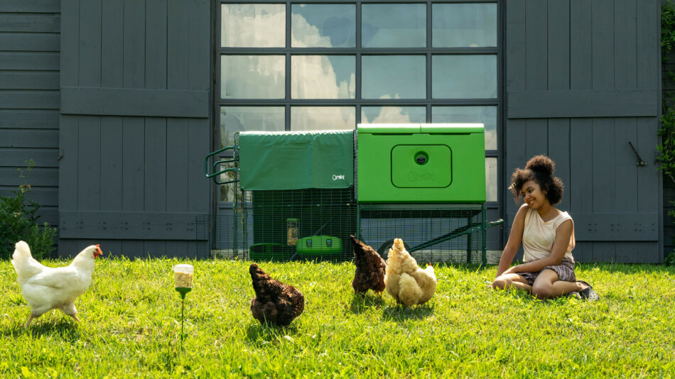 Meisje zit in de tuin met rondscharrelende kippen bij de Eglu Cube van Omlet