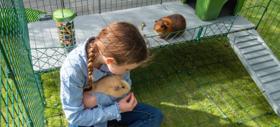 Meisje knuffelt cavia in de Zippi Speelren