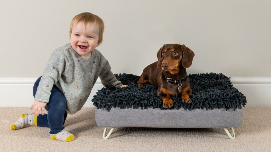 Peuter en hond op de Topology hondenmand van Omlet 