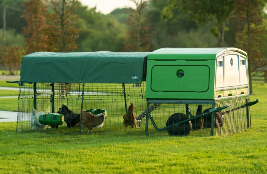 Eglu Pro opstelling in de achtertuin met kippen in de gekoppelde ren