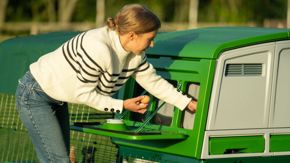 Vrouw raapt eieren uit de Omlet Eglu Pro 