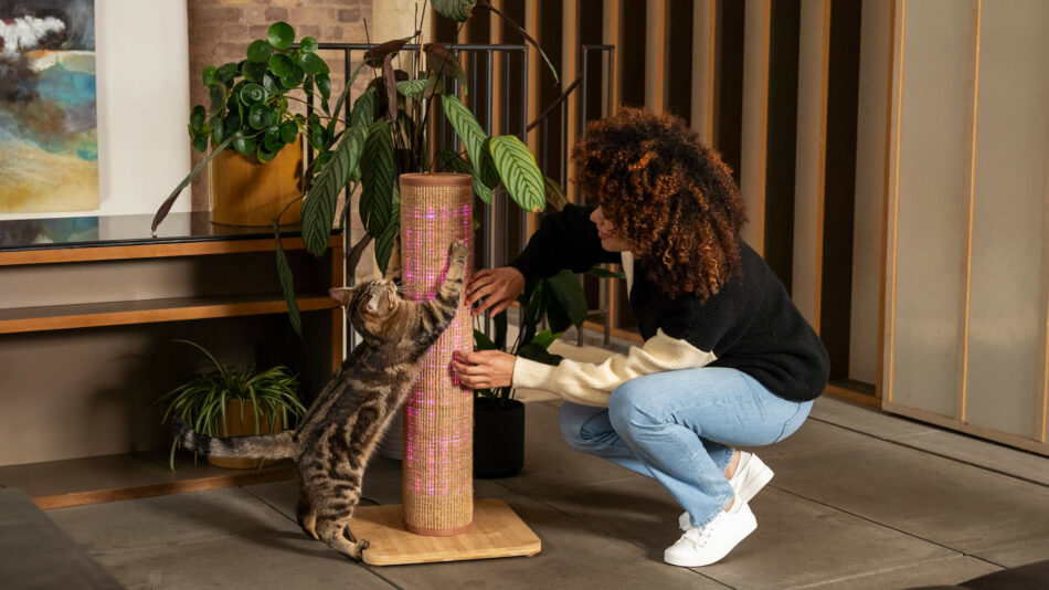 Vrouw die met kat speelt op de Omlet Switch Krabpaal