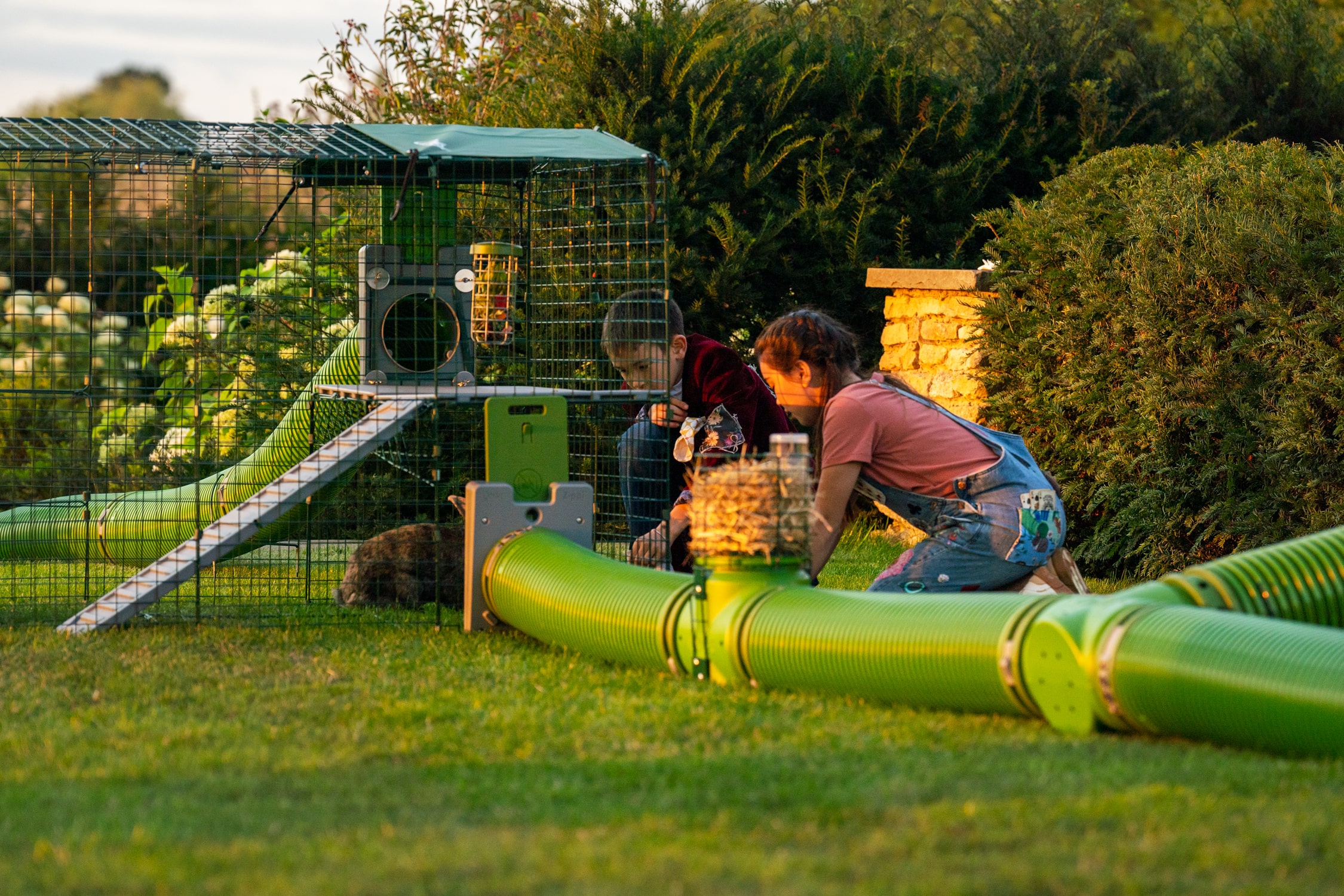 konijnen in ren met caddi snackhouder