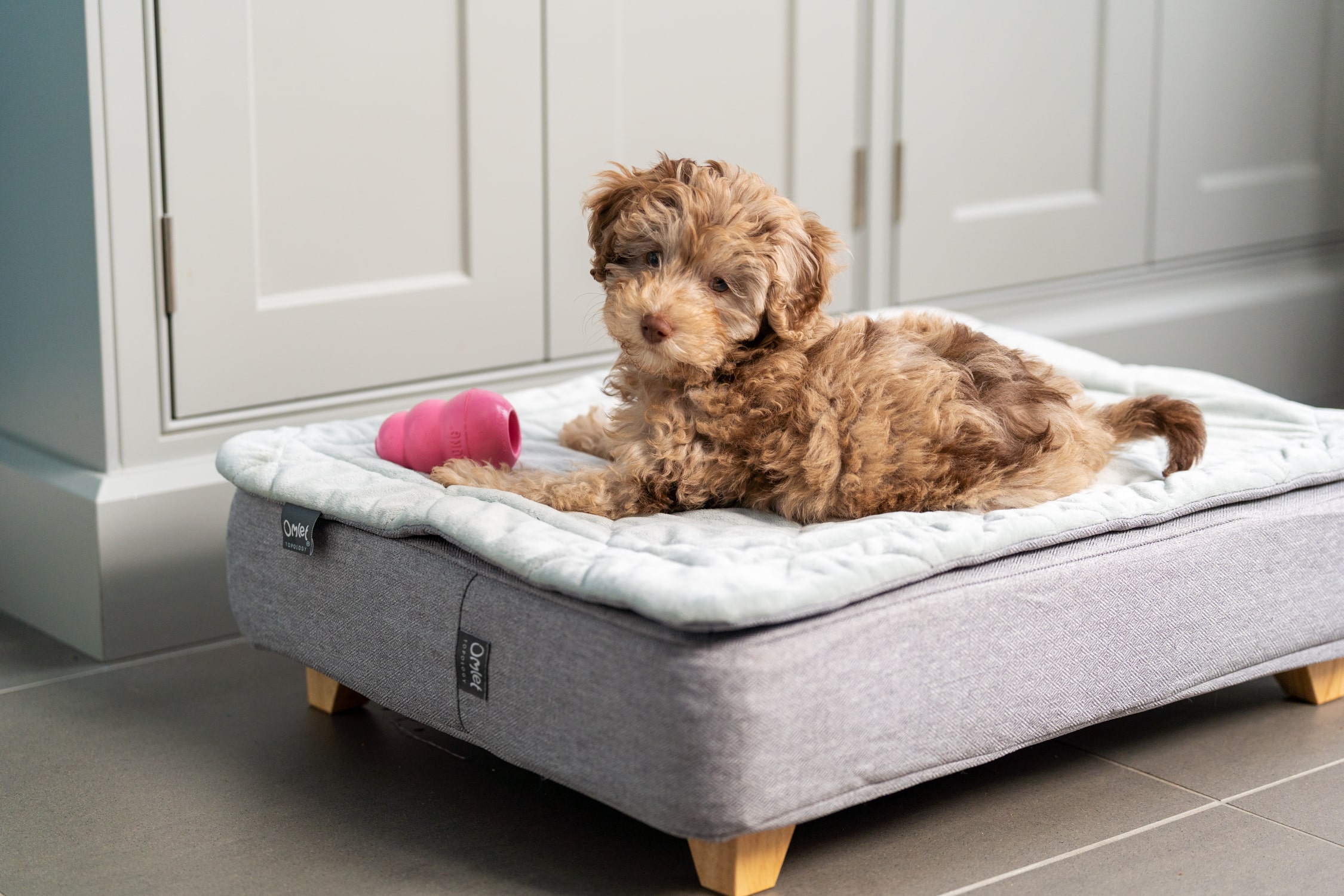 puppy op topology hondenbed met houten poten