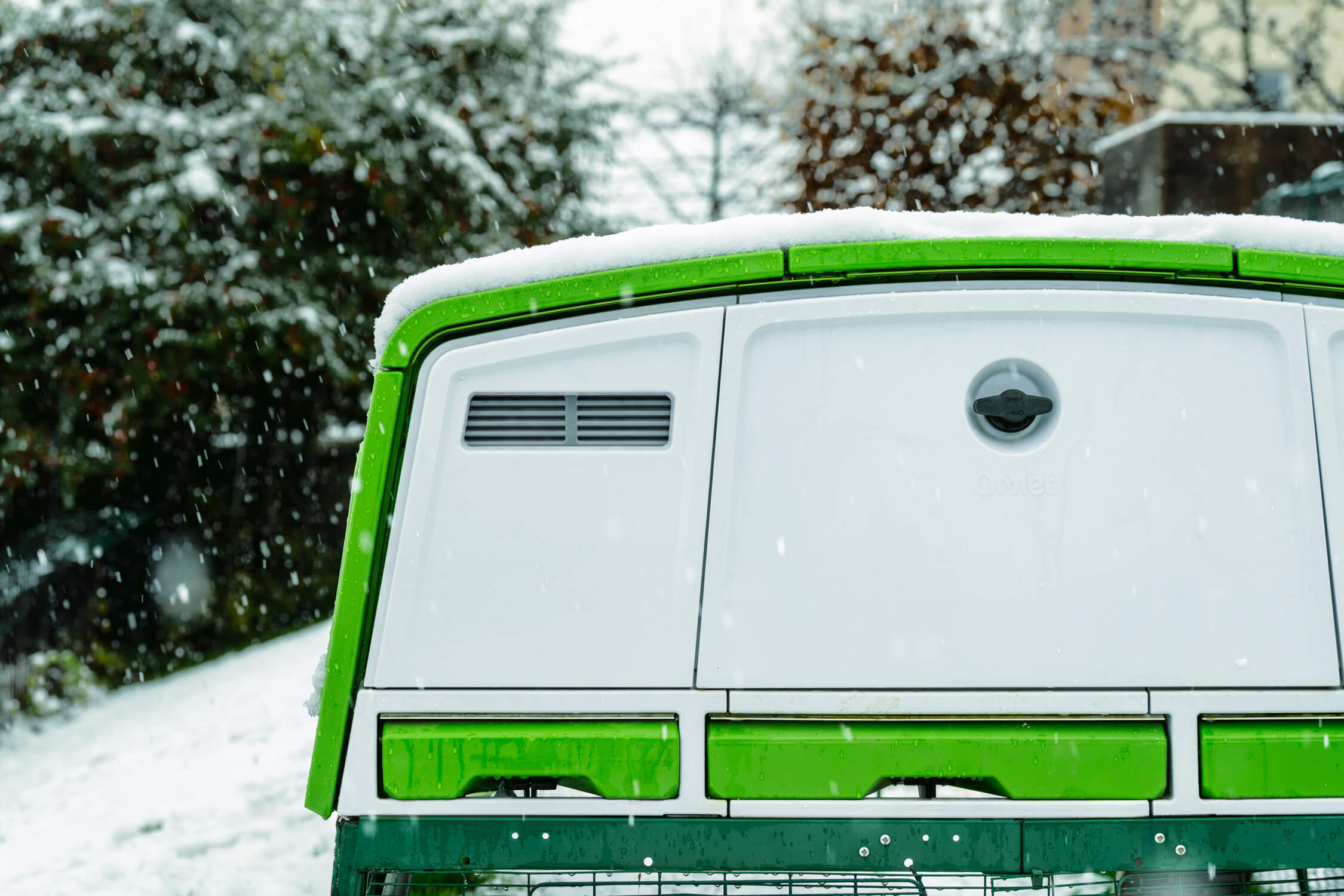 Eglu pro in de sneeuw