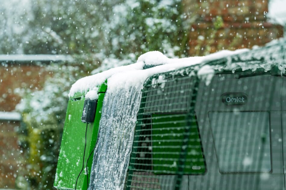 eglu pro in de sneeuw in de tuin met dekzeil