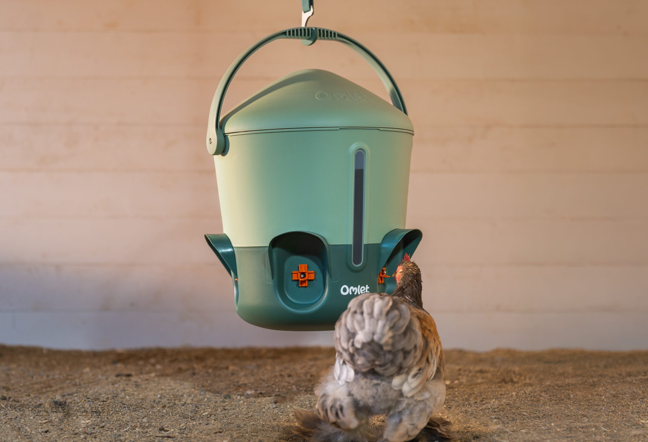 kip die drinkt uit een hangende nippel drinkbak