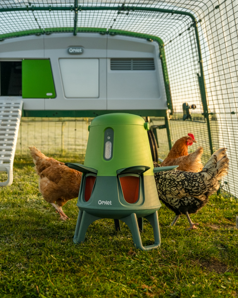 Omlet Smart No Waste-voerbak in een professioneel kippenhok, omringd door kippen