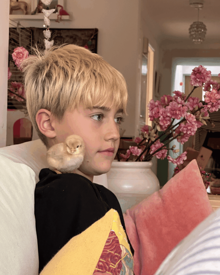 blonde jongen met een kuiken op zijn schouder