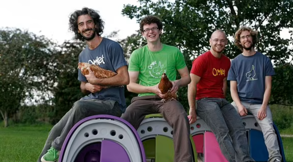 De oprichters van Omlet, Hanns, James, Simon en Will in de beginjaren van Omlet. Zittend op kippenhokken met kippen op schoot.