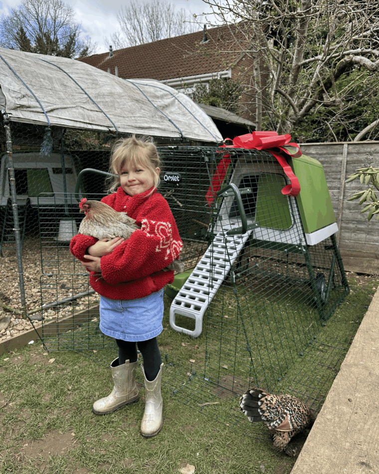 jong meisje met een kip in haar handen, nieuw kippenhok op de achtergrond