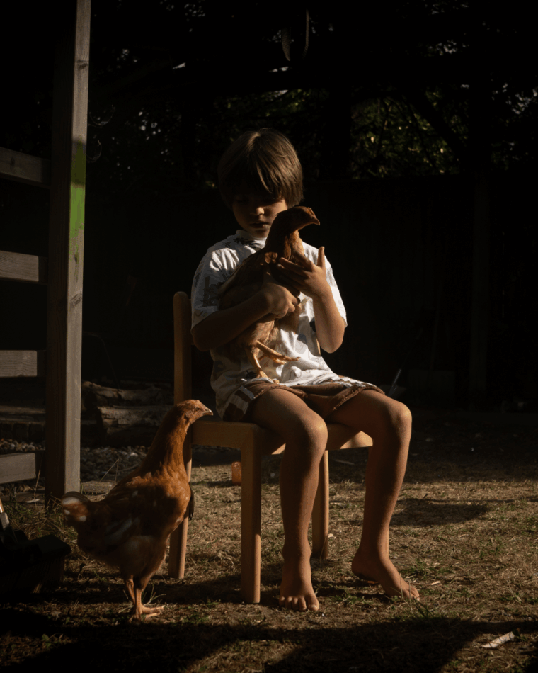 Kip op schoot van kind met een andere kip ernaast