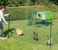 Kippenhouder verzorgt de kippen met de afrastering voor kippen en het Eglu Cube kippenhok van Omlet